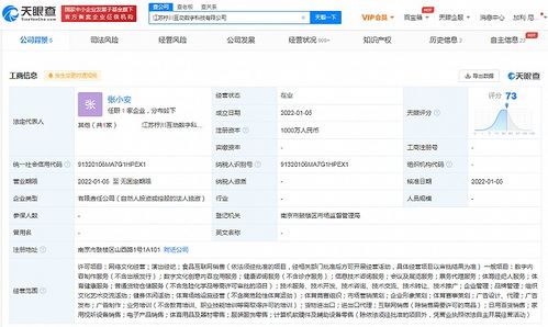 蘇寧布局數(shù)字科技新賽道 成立科技公司，涉足演出經(jīng)紀與數(shù)字內(nèi)容服務(wù)